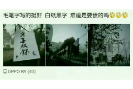 大连大连的要账公司在催收过程中的策略和技巧有哪些？